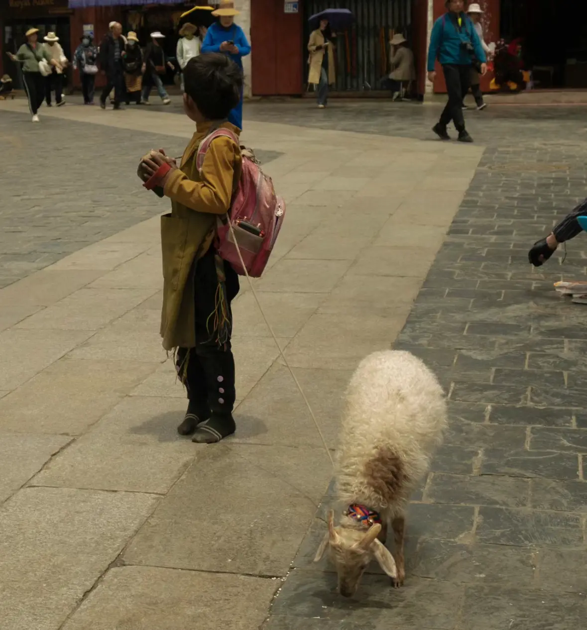A child and a dog photographed in the street