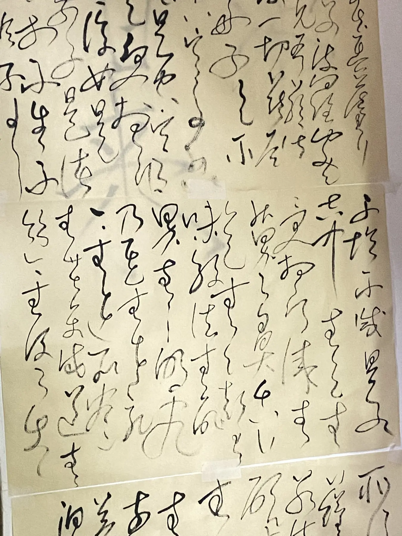 Handwritten field notes and calligraphy
