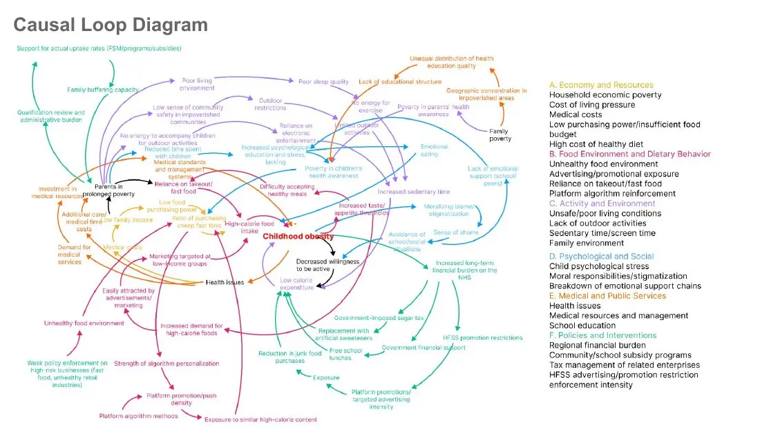 Detailed causal loop diagram